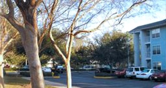 Tree-lined grounds